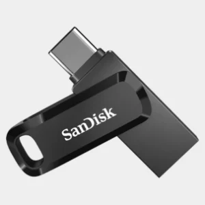 256 GB SANDISK FLASH DRIVE